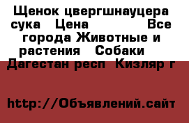 Щенок цвергшнауцера сука › Цена ­ 25 000 - Все города Животные и растения » Собаки   . Дагестан респ.,Кизляр г.
